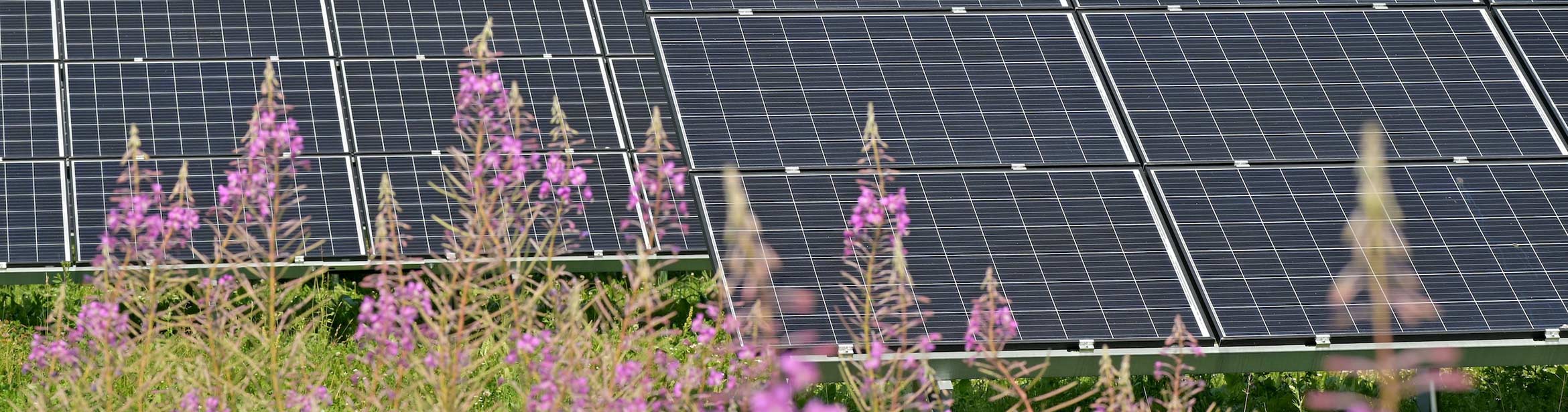 Moist Garden Chargery Products